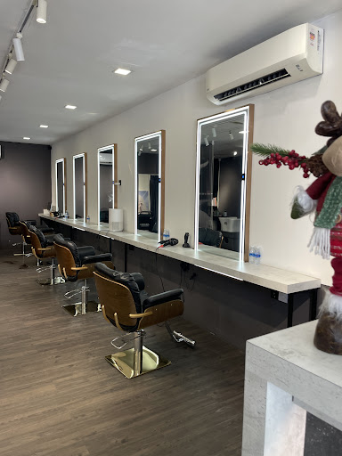 BION Hair & Scalp Studio (Villa Tanjung, Butterworth)