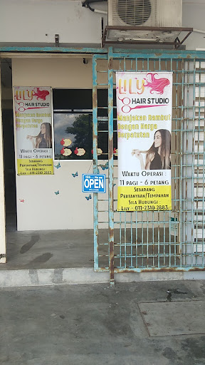 Lily Hair Studio
