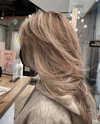 Sense3 Hair Studio by H-Design