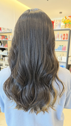 W Atelier Hair Studio